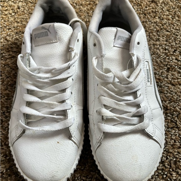 White puma - Picture 4 of 6